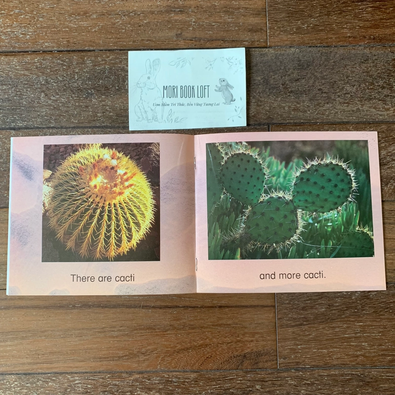 Combo 3c tập đọc Science Emergent Readers: Coral Reef; Desert; Nests, Nests, Nests, Used 477815