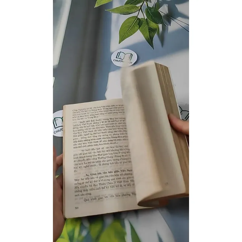 Cơ Sở Văn Hóa Việt Nam - Lê Văn Chưởng 727231