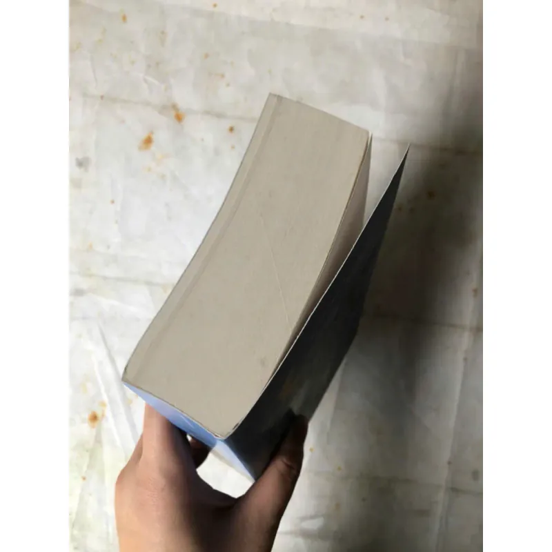 Great Expectations - Charles Dickens 778440