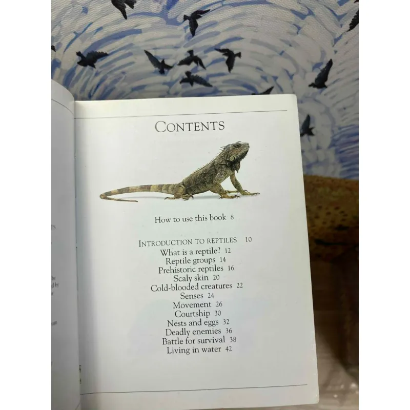 Pockets: Reptiles 1022230