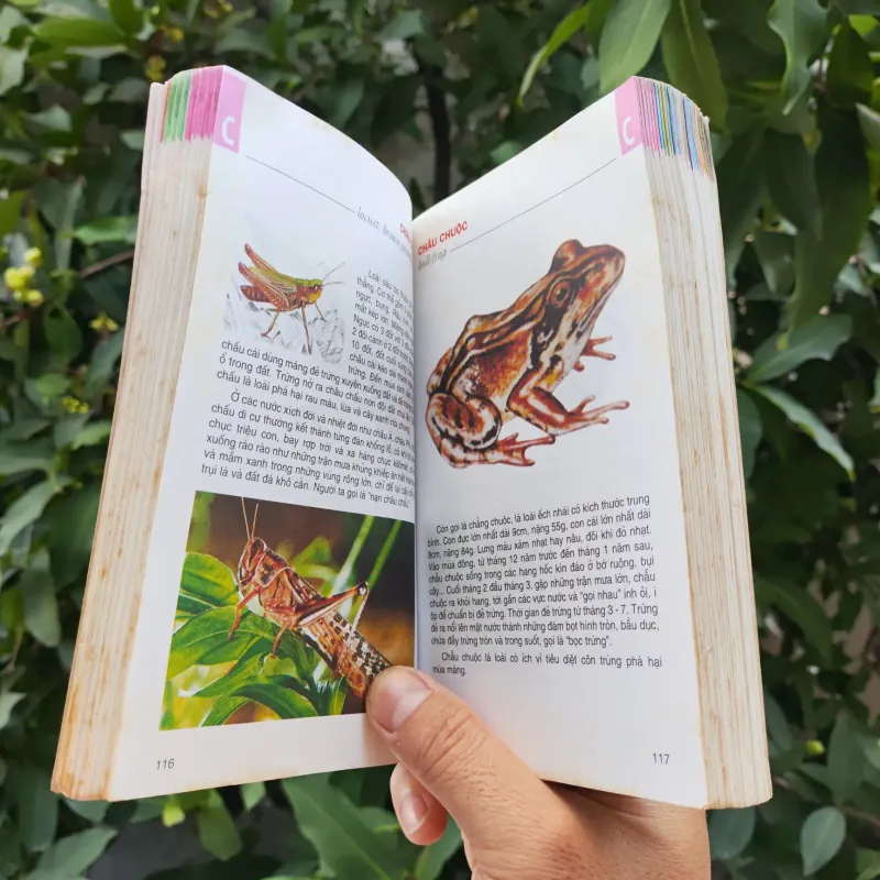 Từ Điển Tranh Về Các Con Vật - Lê Quang Long 753786