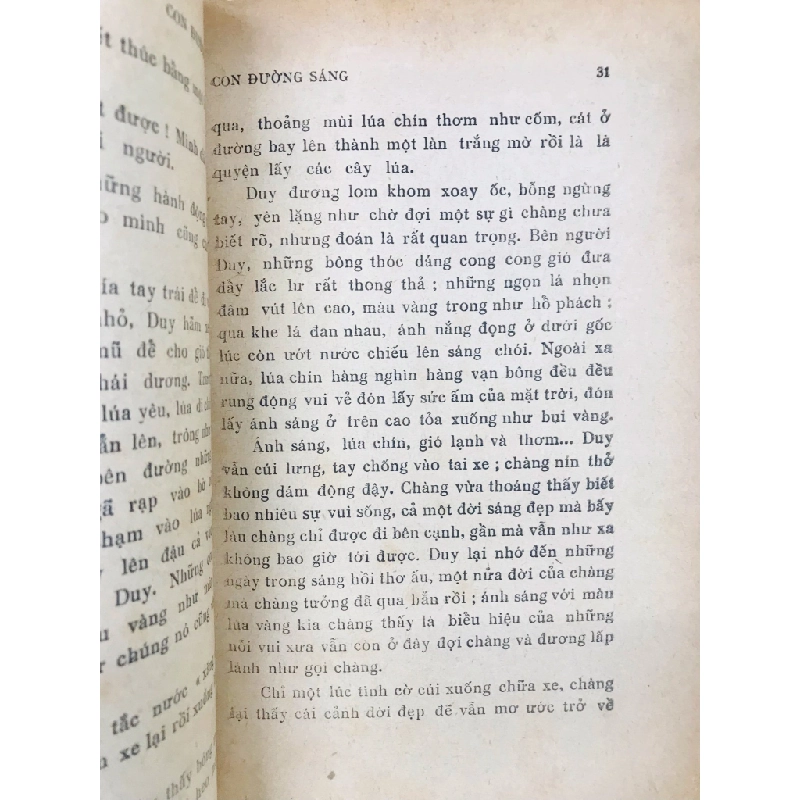Con đường sáng - Hoàng Đạo 125516