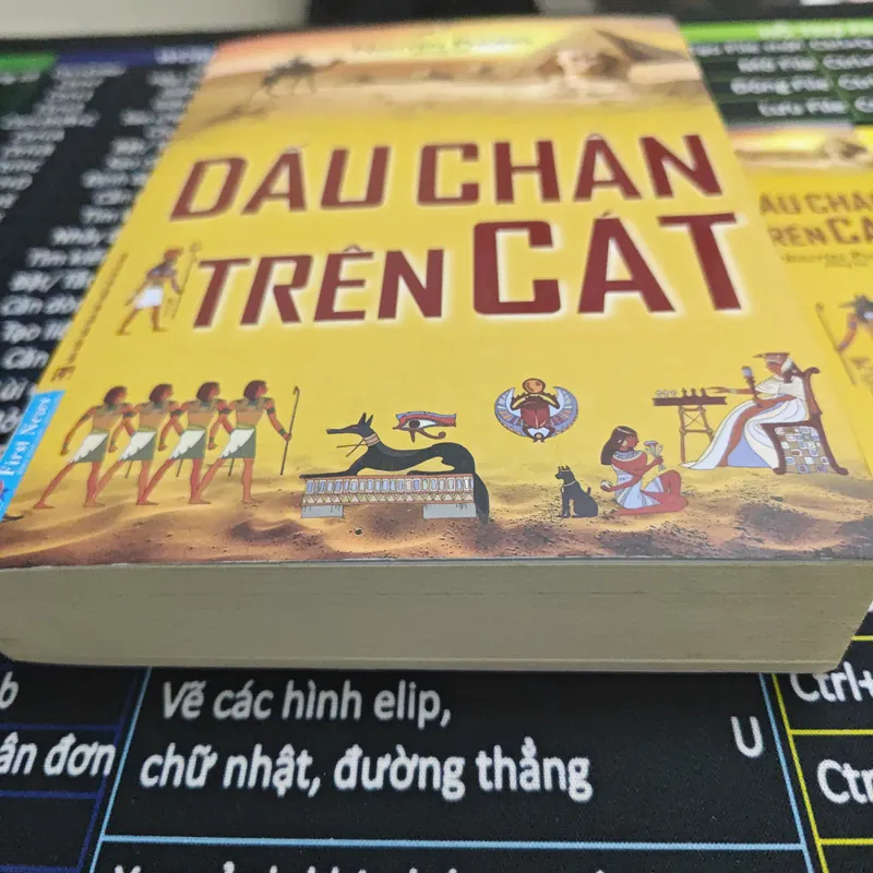 Dấu Chân Trên Cát - Nguyên Phong 703799