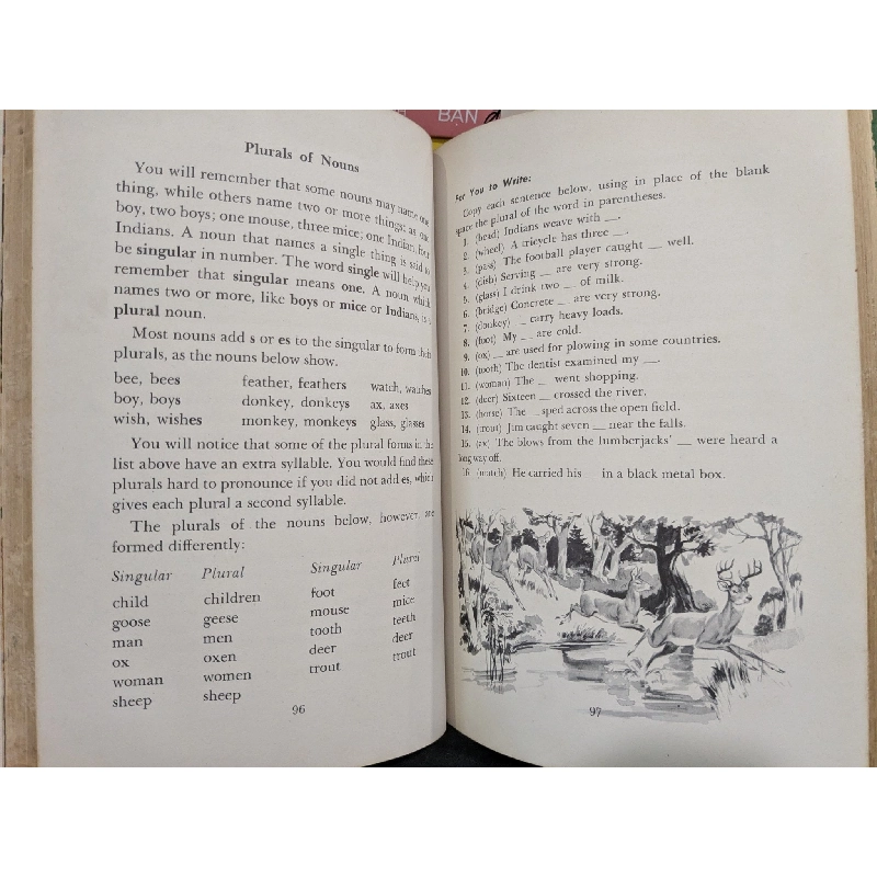 Building Good English 788306