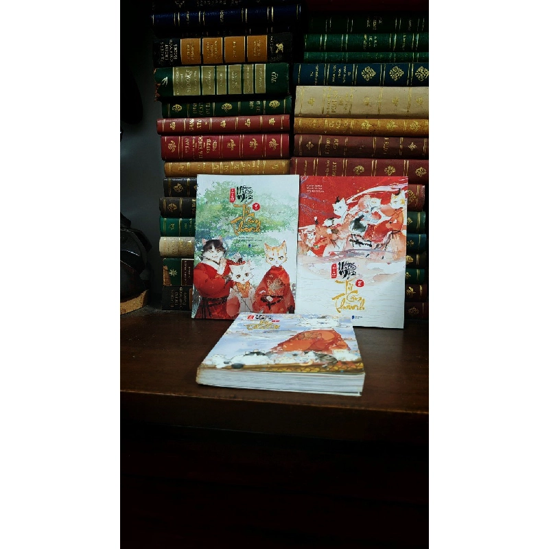 TRUYỆN TRANH NHỮNG CON MÈO Ở TỬ CẤM THÀNH 377020