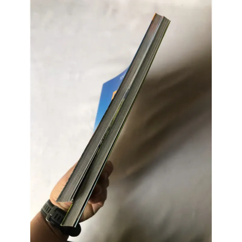 Combo Đi Tìm Momo - Tập Sách Ảnh Trốn Tìm: Tập 1 Và 2 (Bộ 2 Tập) | Andrew Knapp 758392