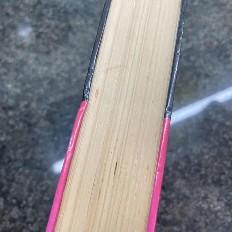 Why Vietnam Tại sao Việt Nam Archimedes L.A. Patti bìa cứng 777972