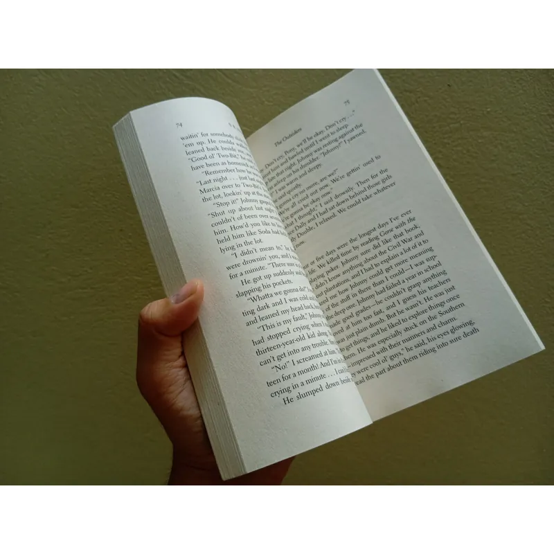 The outsiders, sách ngoại văn tiếng Anh, english book tiểu thuyết  592851