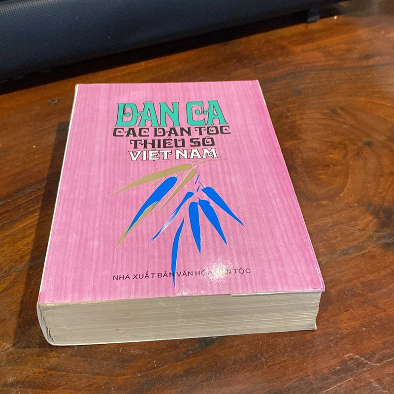 DÂN CA CÁC DÂN TỘC THIỂU SỐ VIỆT NAM (XB 1997) 470912
