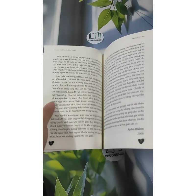 Mở Cửa Trái Tim - Ajahn Brahm 961179