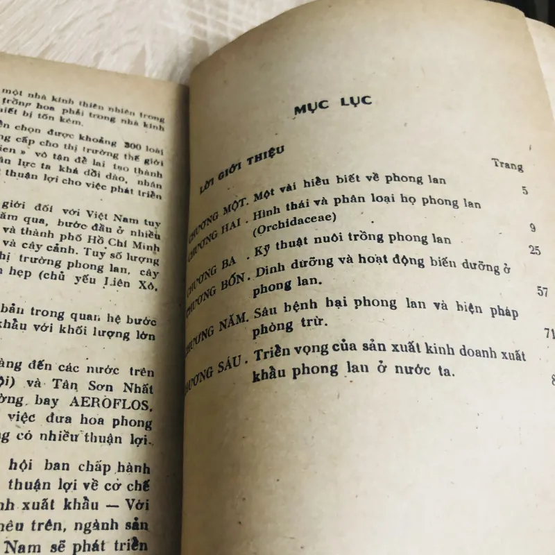 KỸ THUẬT NUÔI TRỒNG PHONG LAN XUẤT KHẨU 956882