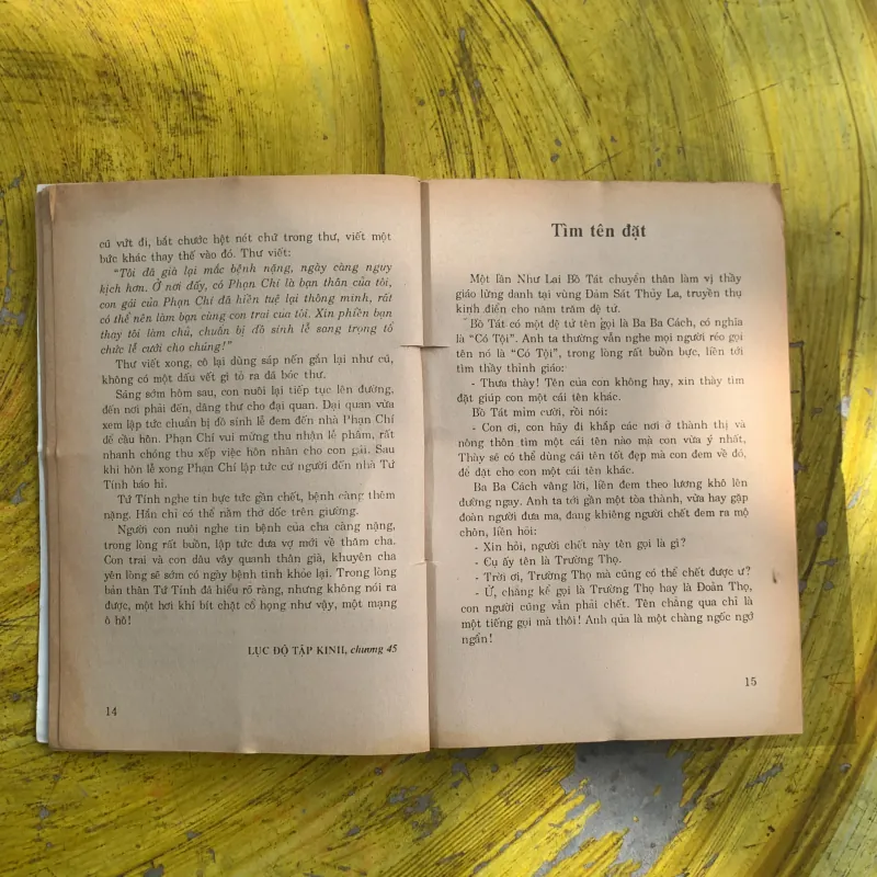 TRUYỆN BỒ TÁT- DƯƠNG THU ÁI chọn dịch 792821