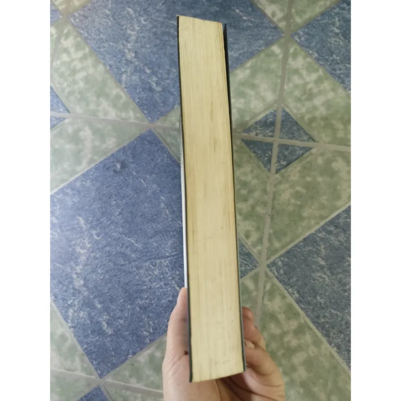 Phương trình Hạ Chí - Higashino Keigo 712397