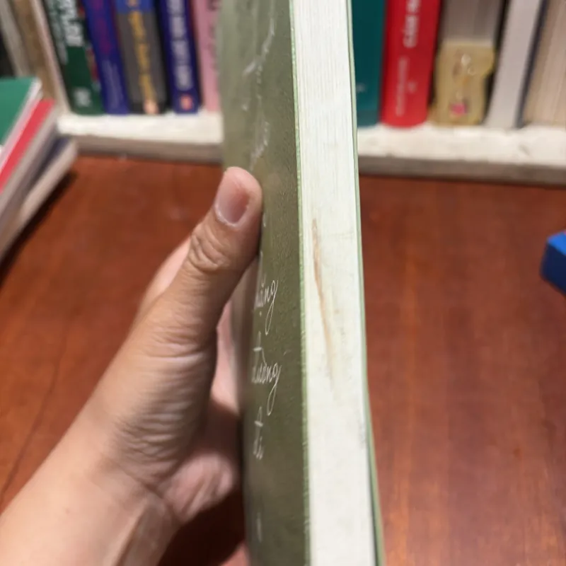 II Tuyển Chọn: Hạnh Phúc Trên Chặng Đường Đi - Nguyệt Dương - 2015 786203