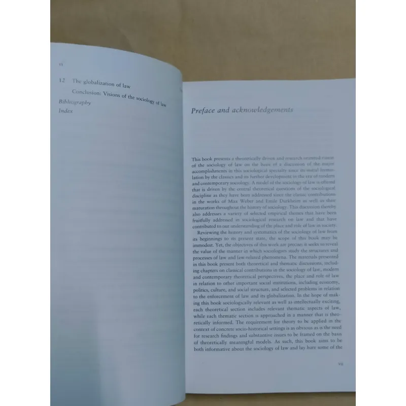 Sociology of Law: Visions of a Scholarly Tradition - Mathieu Deflem 1007190