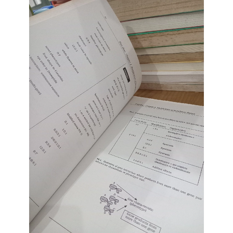 Student handbook: A guide to concepts and problem solving/Concepts of genetics - William S. Klug, Michael R. Cummings 790211