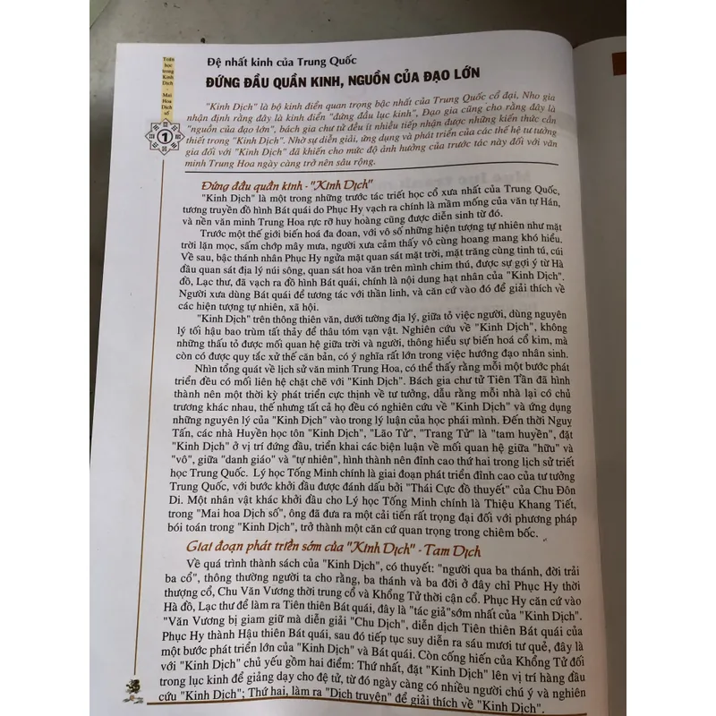 Mai hoa dịch số 719447