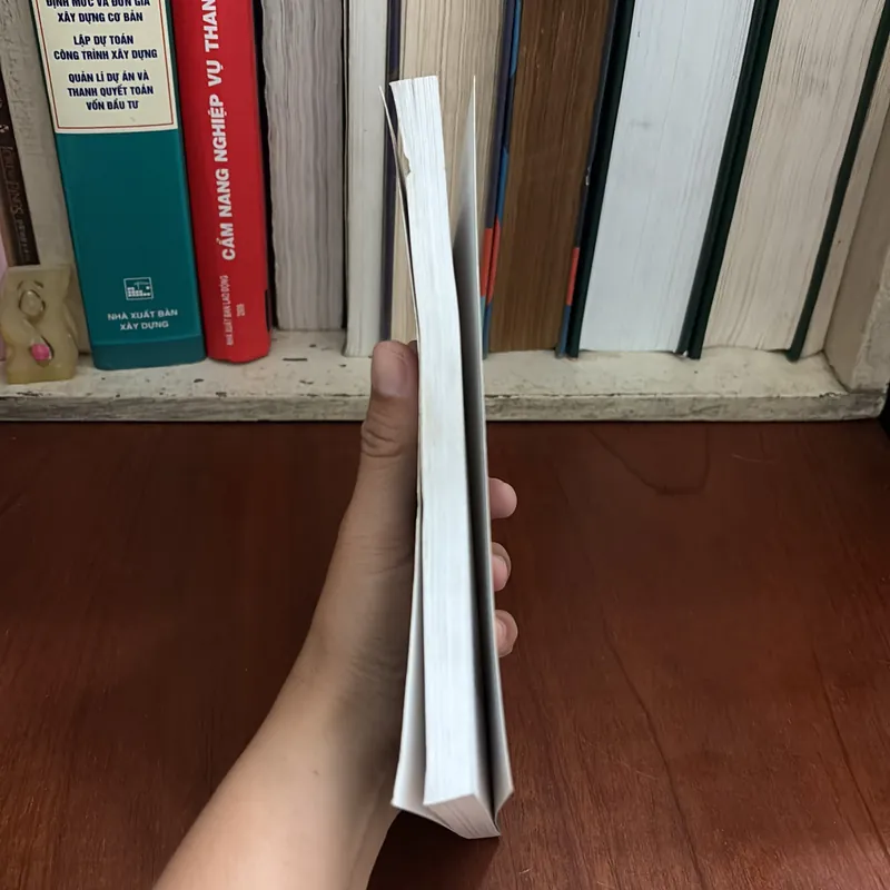 II Sách Tâm Linh: Hiện Tượng Ngoại Cảm _ Hiện Thực Và Lý Giải - Phạm Ngọc Dương - 2008 716777