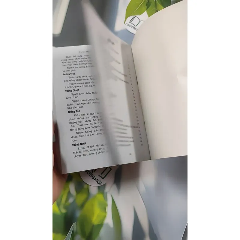 Tướng Mạo Trong Cuộc Sống - Thái Uyên & Hà Thiên 776128