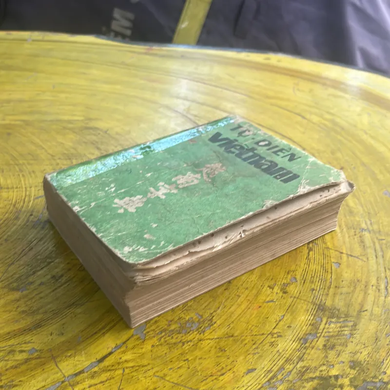 TỰ - ĐIỂN VIỆTNAM 1042977