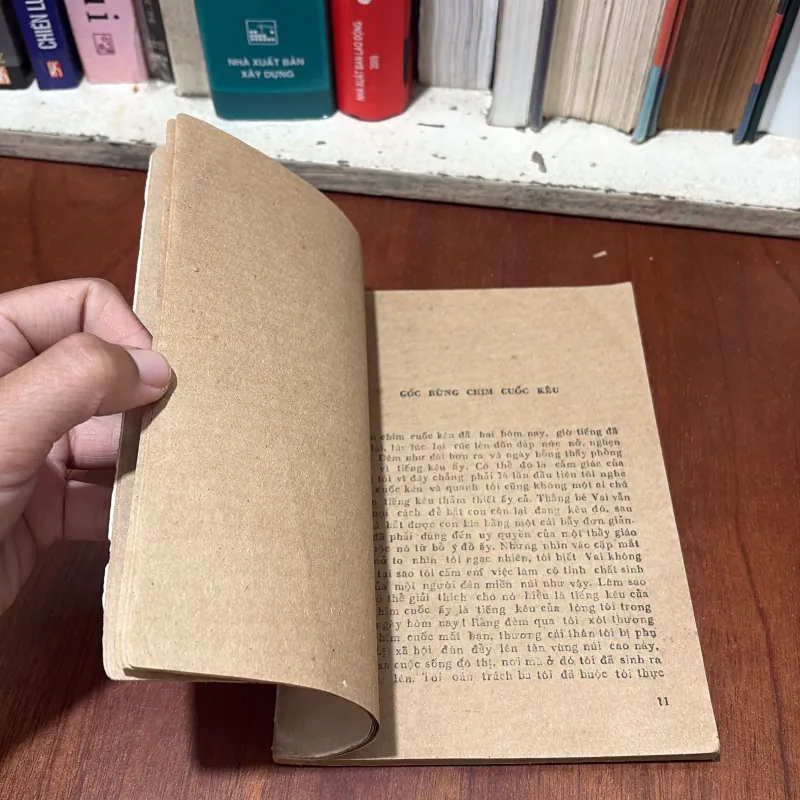 II Văn Học: Búp Bê Cho Người Lớn - Hồ Trung Tú - 1987 765530