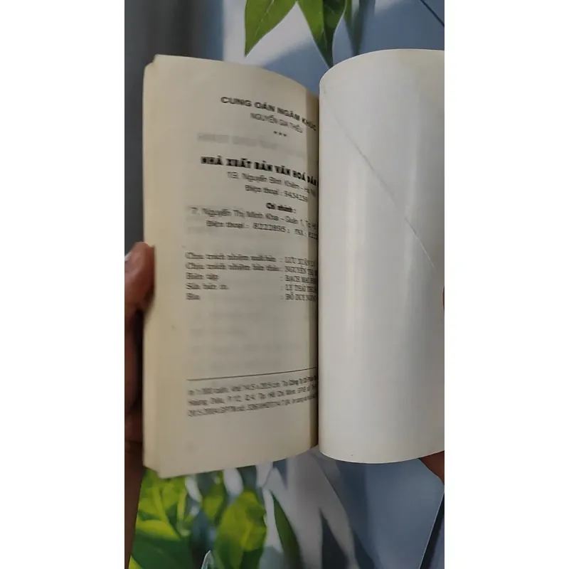 Cung oán ngâm khúc bằng tranh - Nguyễn Gia Thiều 798371