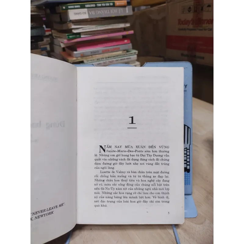 Sách: Đừng bao giờ xa em - TG: Margaret Pemberton (B3) 974092