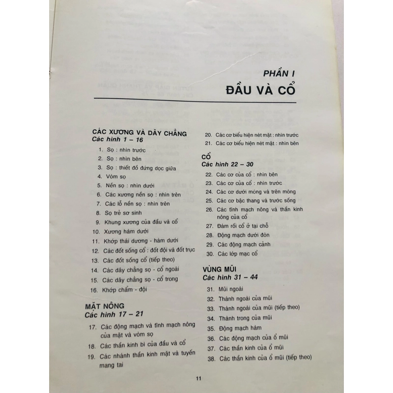 2. ATLAS GIẢI PHẪU NGƯỜI  470949