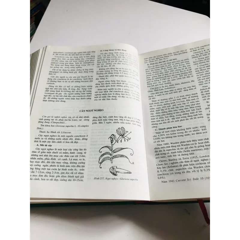 2. 📚 NHỮNG CÂY THUỐC VÀ VỊ THUỐC VIỆT NAM – Đỗ Tất Lợi Bìa cứng, khổ to, 1.272 trang 557999