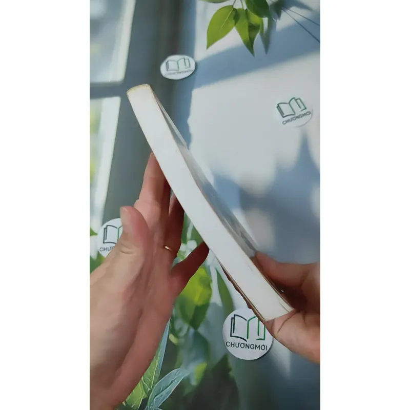 Điện Tử Công Suất - Mạch Biến Đổi Điện Áp 1018861