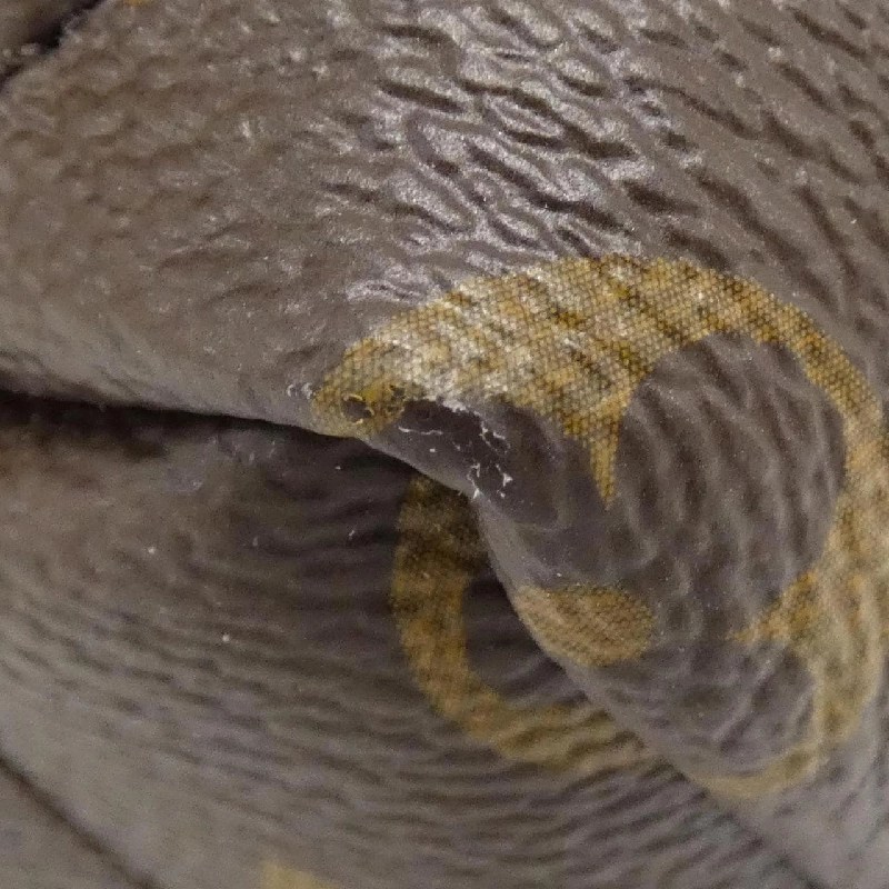 Ba lô Louis Vuitton Monogram Palm Springs MINI M41562 611635