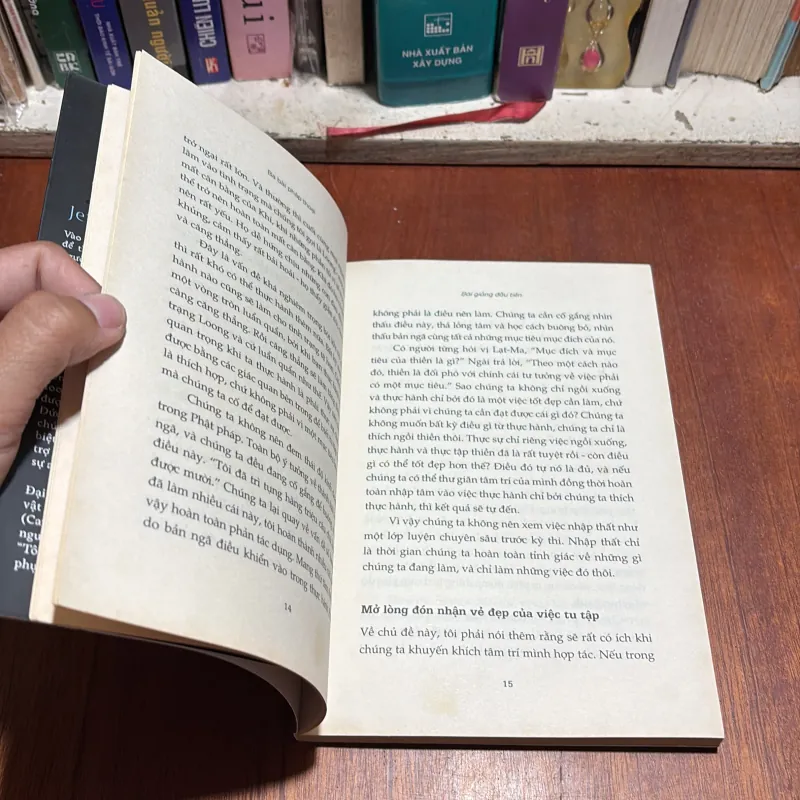 Ba Bài Pháp Thoại (Về Nhập Thất, Đại Thủ Ấn Và Chánh Niệm) - Đại Sư Jetsunma Palmo - 2019 927757