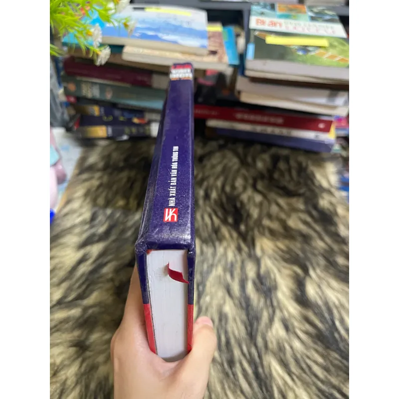 Lịch vạn niên 1901-2050 598607