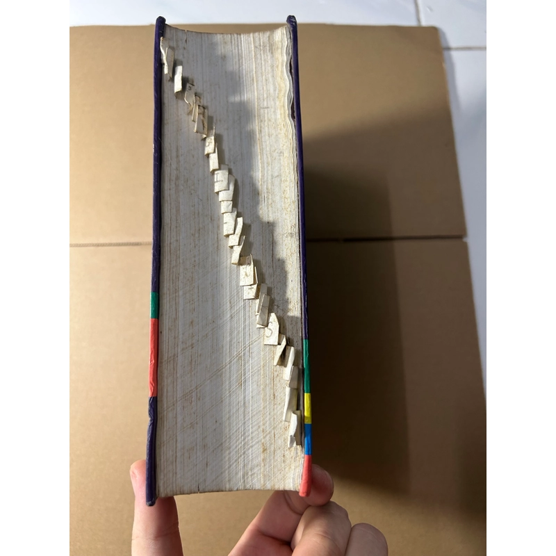Từ điển Anh Việt 550761