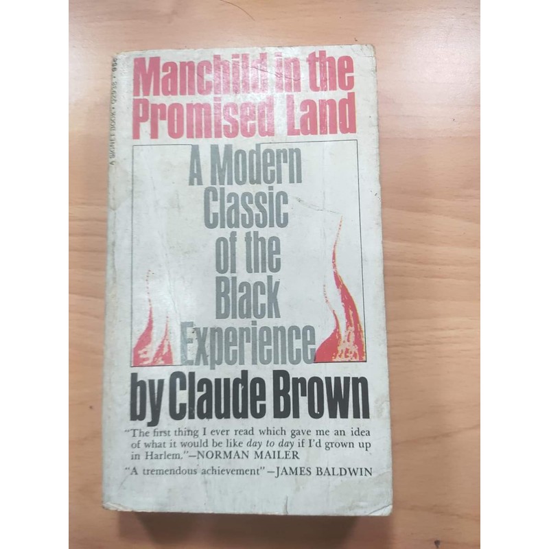 Manchild in the promised land 70847