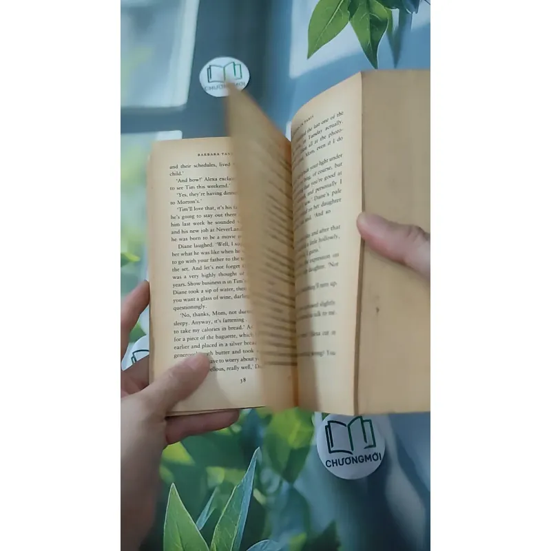 Three Weeks in Paris - Barbara Taylor Bradford 1027568