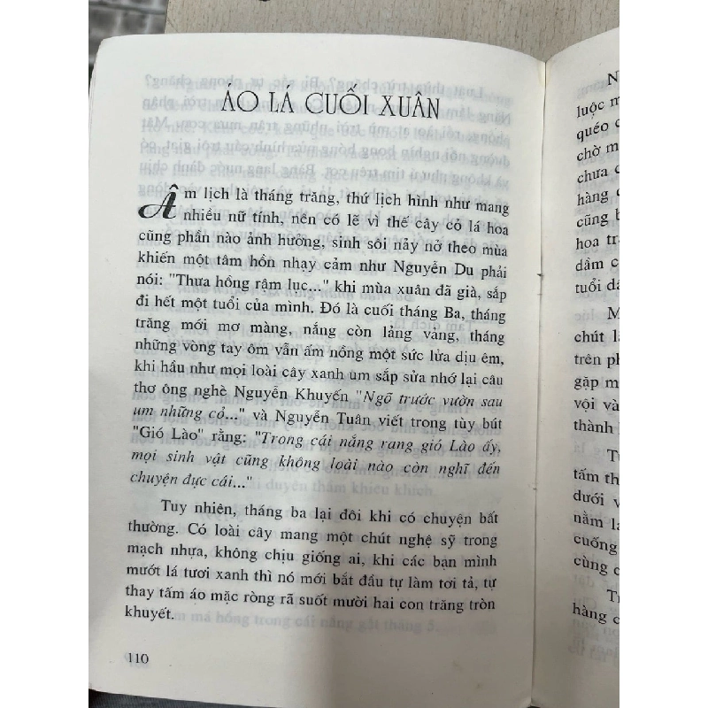 Thấp thoáng hồn xưa - Băng Sơn 728238