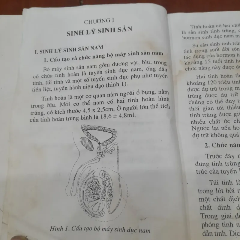 Sức khỏe sinh sản và Quan hệ tình dục hài hòa 800818