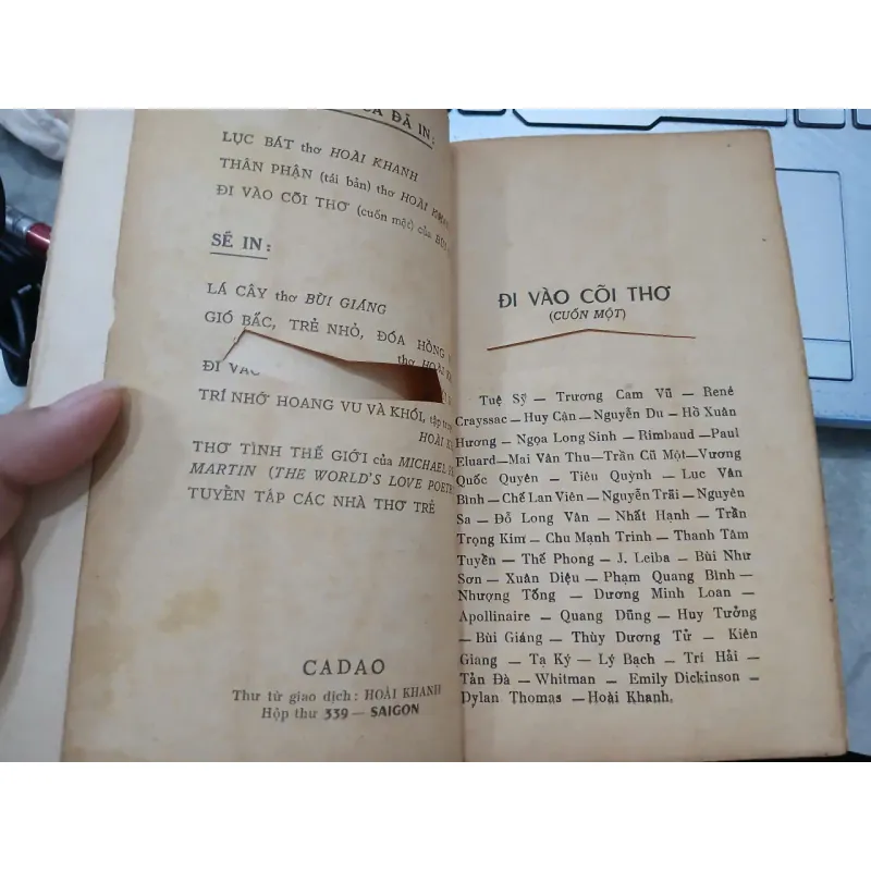 ĐI VÀO CÕI THƠ - BÙI GIÁNG 733838