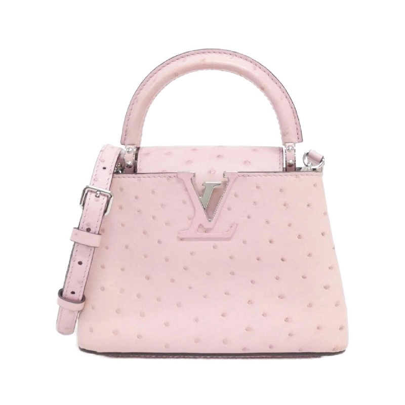 Túi xách Louis Vuitton Exotic Leather Capucines MINI N99334 618691