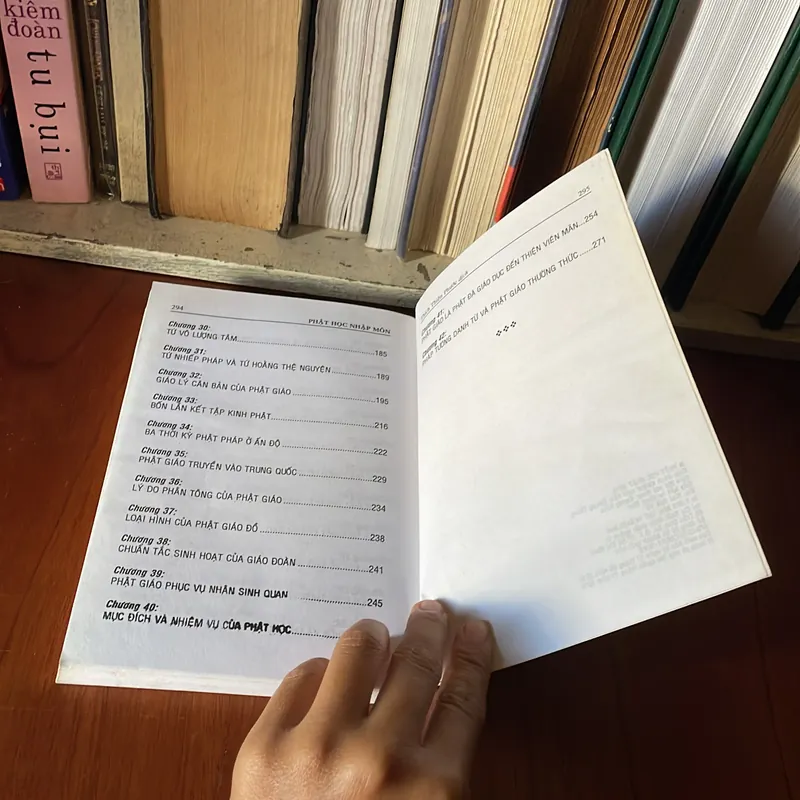 II Sách Phật Giáo: Phật Học Nhập Môn - Thích Thiện Phước (Dịch) - 2010 573006