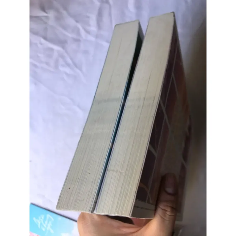 Lâu Rồi Không Gặp - Bắc Nam (kèm phụ kiện như hình) 746392