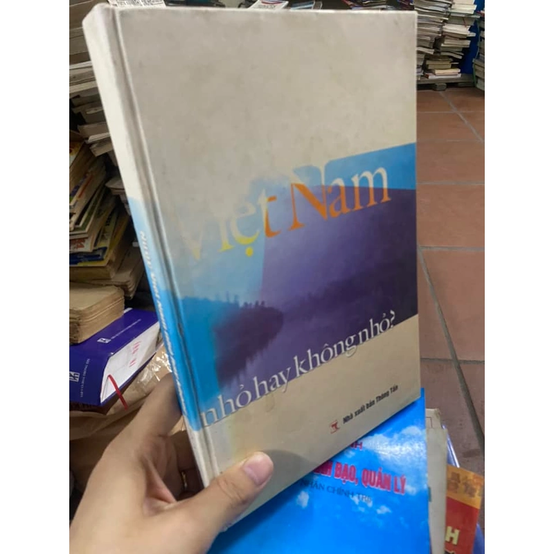 Sách Việt Nam nhỏ hay không nhỏ 311849