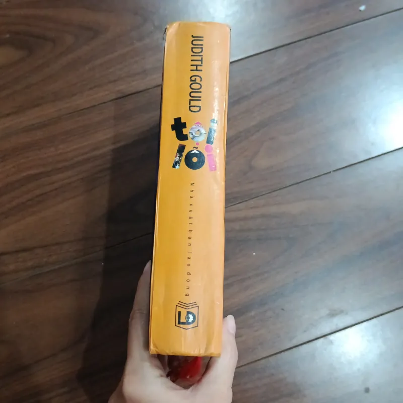 Tội lỗi - Judith Gould 757458