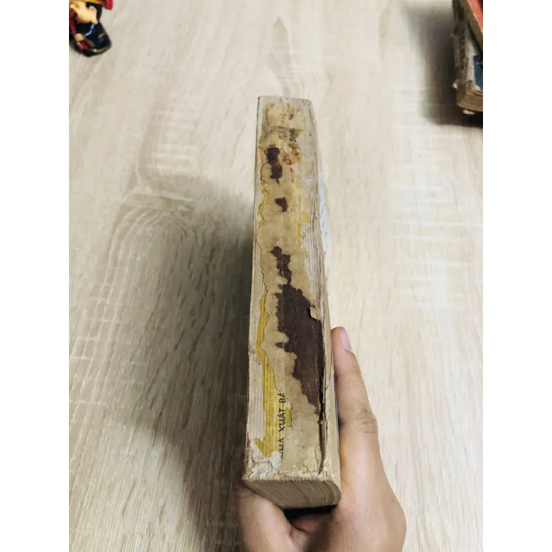 THUYỀN TRƯỞNG BLOOD – Rafael Sabatini 960018