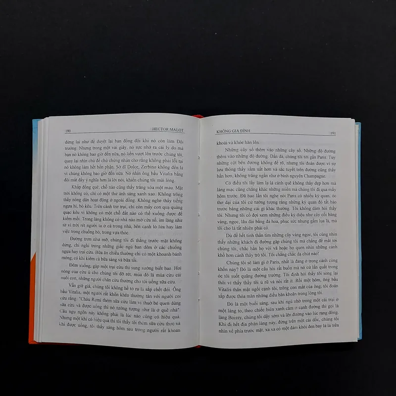 [Sách Cũ] Không Gia Đình - Bìa Cứng 687958