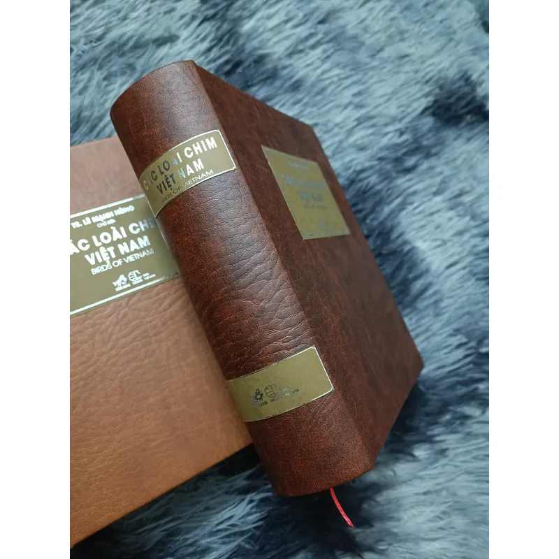 Các loài chim Việt Nam (Lê Mạnh Hùng) 736179