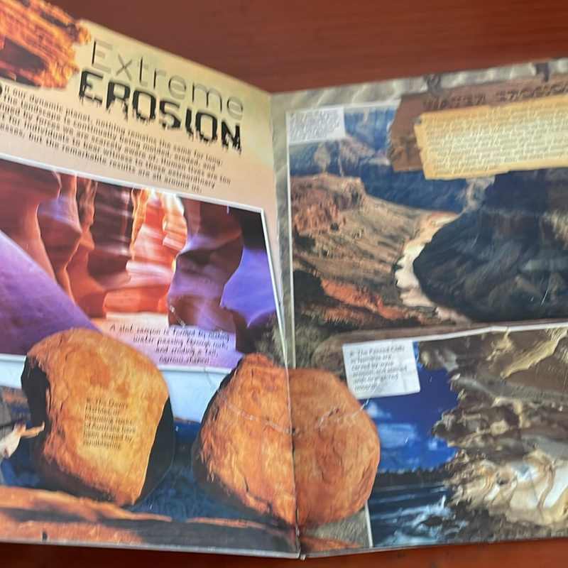 PICTURE BOOK Activite earth 536059