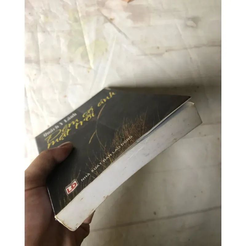 Đêm Có Ánh Mặt Trời - Quách Y Lành 751557