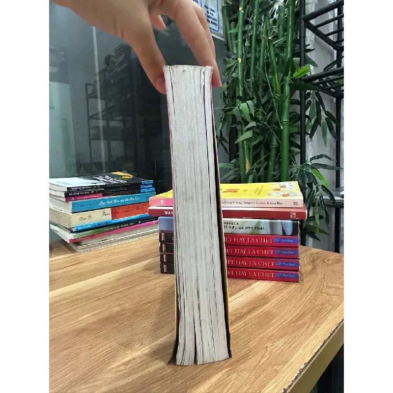 Lớp học Mật ngữ 12 572427